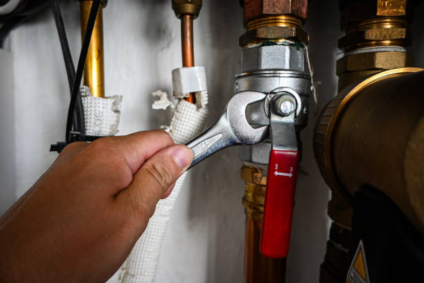 Best Plumbing Inspection Services  in Lyndon, KY
